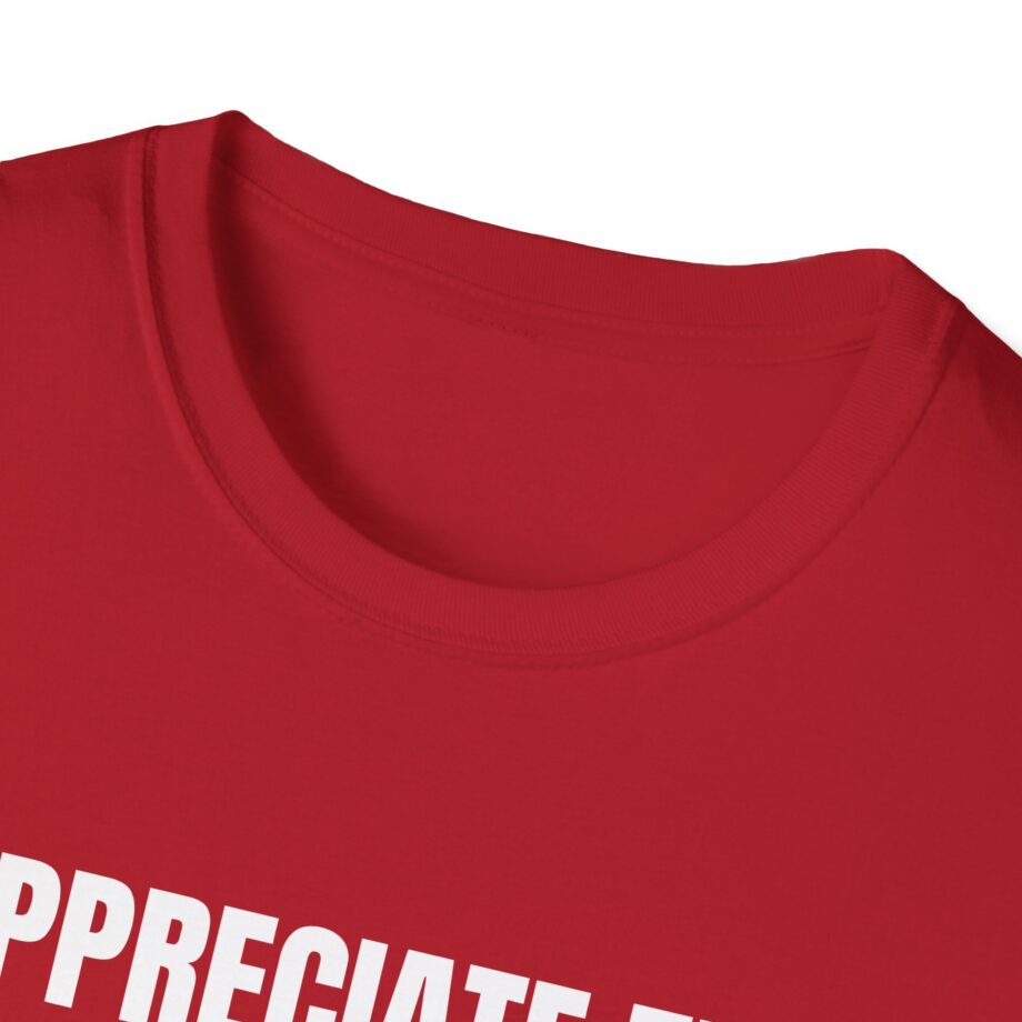 Jynxzi Appreciate the Little Things in Life Unisex Softstyle T-Shirt