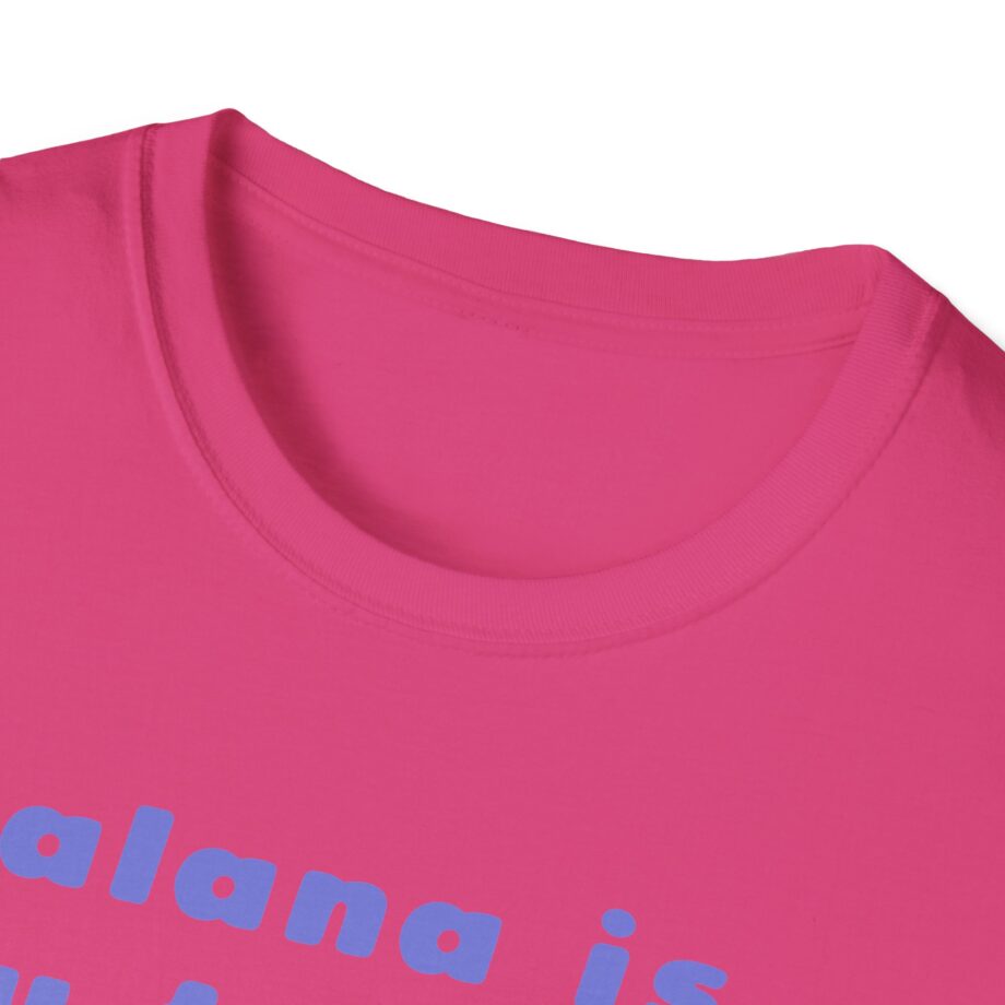 Haim Merch Este is My Favorite Unisex Softstyle T-shirt