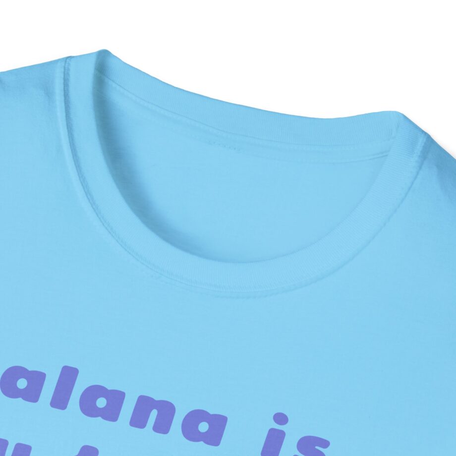 Haim Merch Este is My Favorite Unisex Softstyle T-shirt