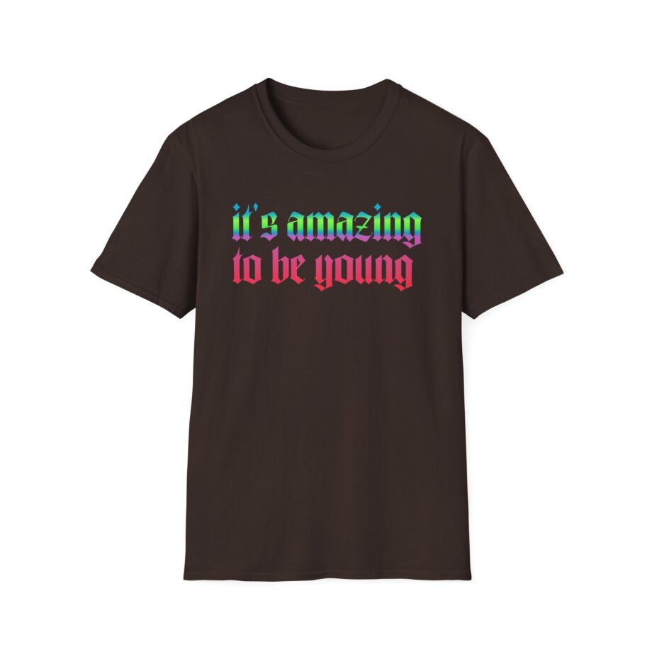 Fontaines It's Amazing To Be Young  Unisex Softstyle T-Shirt