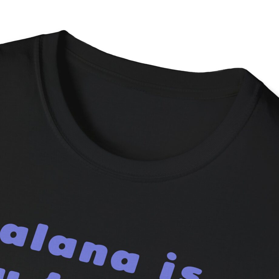Haim Merch Este is My Favorite Unisex Softstyle T-shirt