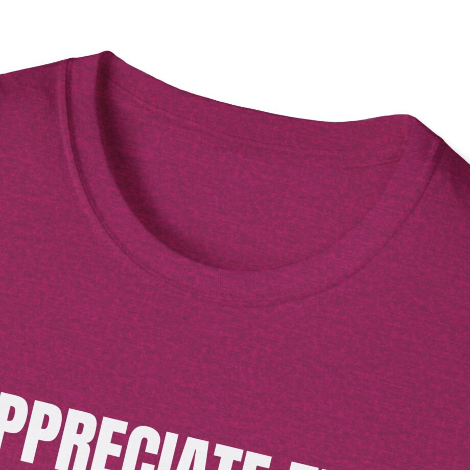 Jynxzi Appreciate the Little Things in Life Unisex Softstyle T-Shirt