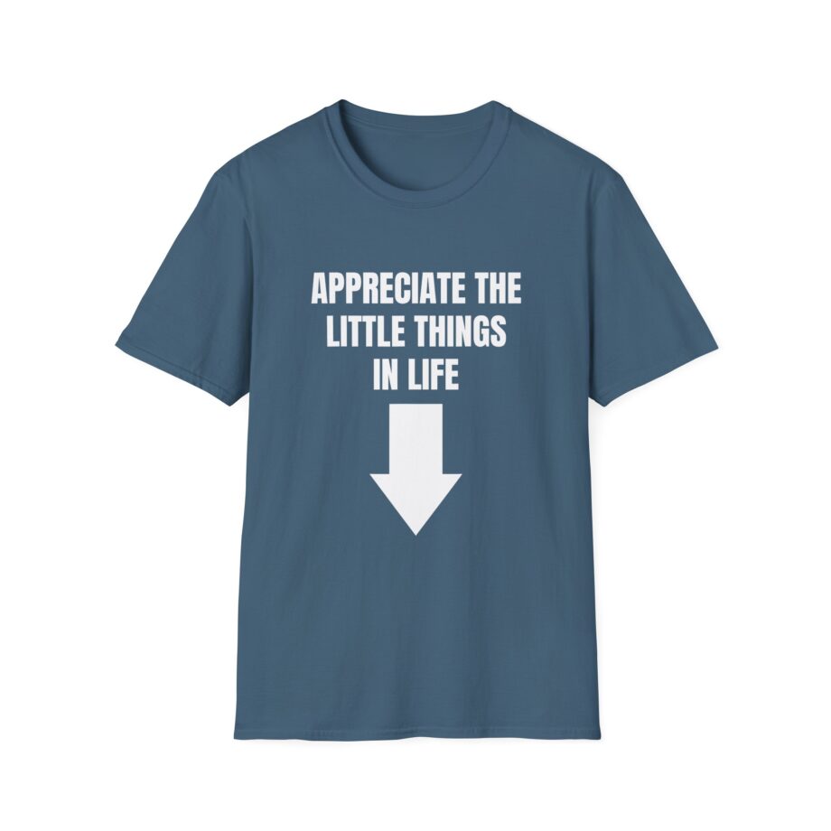 Jynxzi Appreciate the Little Things in Life Unisex Softstyle T-Shirt