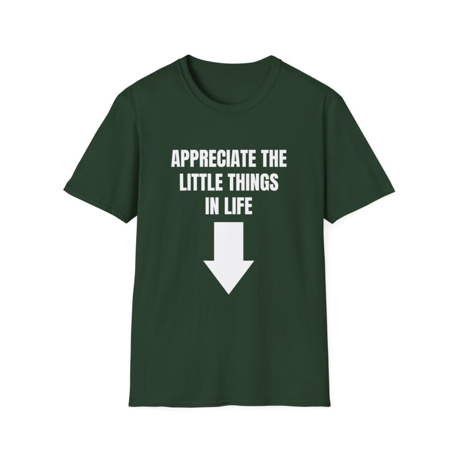 Jynxzi Appreciate the Little Things in Life Unisex Softstyle T-Shirt