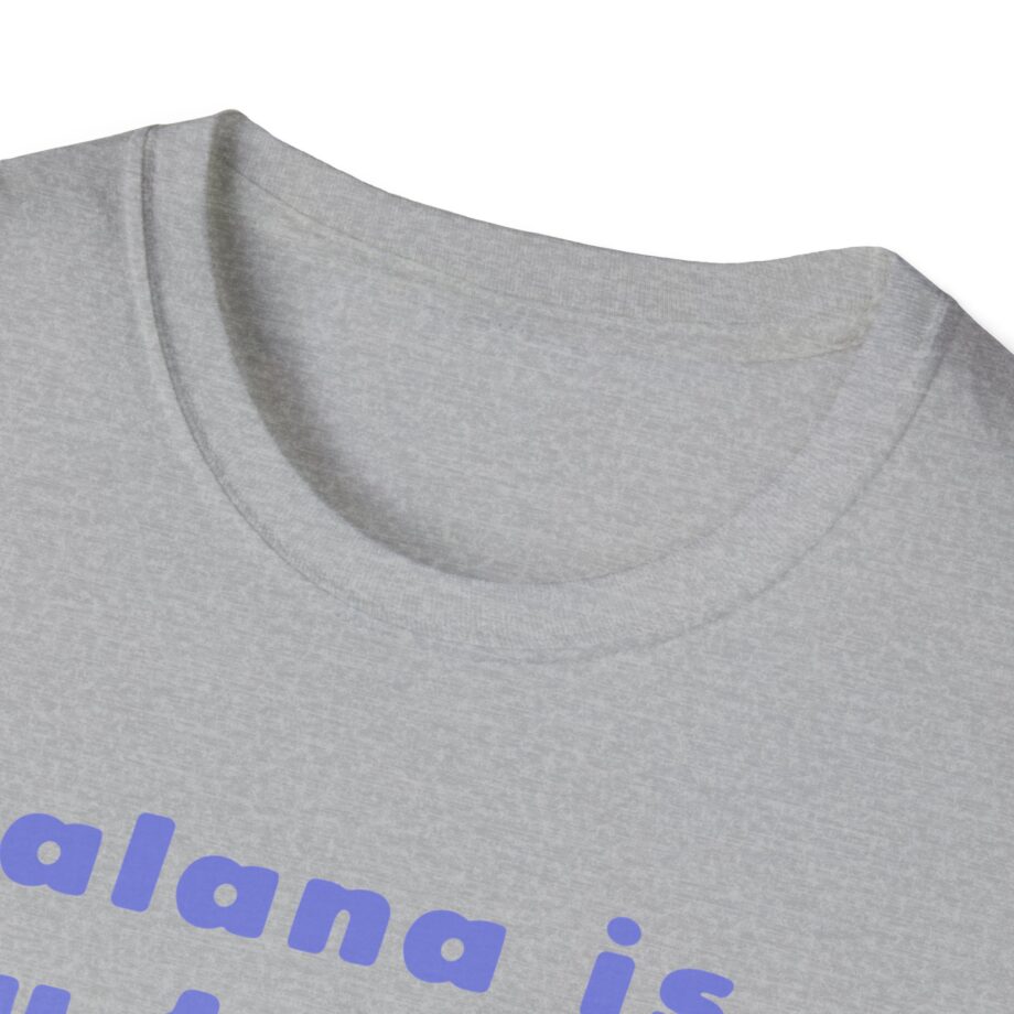 Haim Merch Este is My Favorite Unisex Softstyle T-shirt