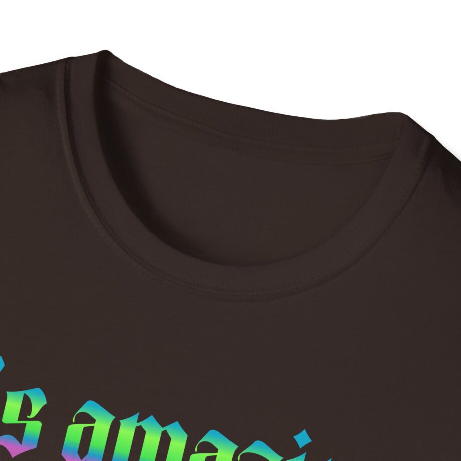 Fontaines It's Amazing To Be Young  Unisex Softstyle T-Shirt