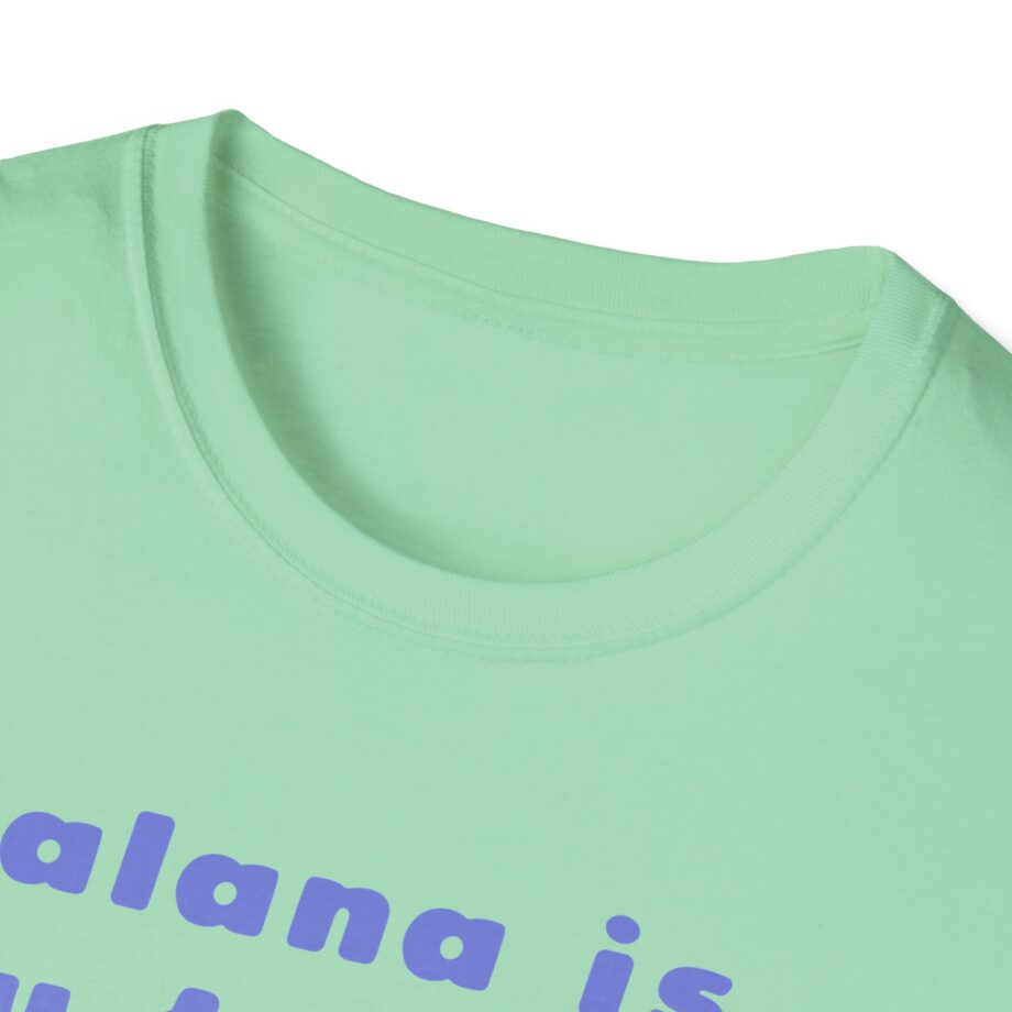 Haim Merch Este is My Favorite Unisex Softstyle T-shirt