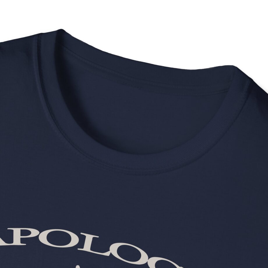 Wave to Earth Slchld 'apology' Na Tour  Unisex Softstyle T-Shirt