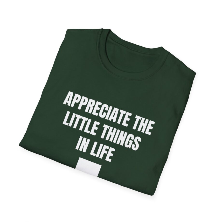 Jynxzi Appreciate the Little Things in Life Unisex Softstyle T-Shirt