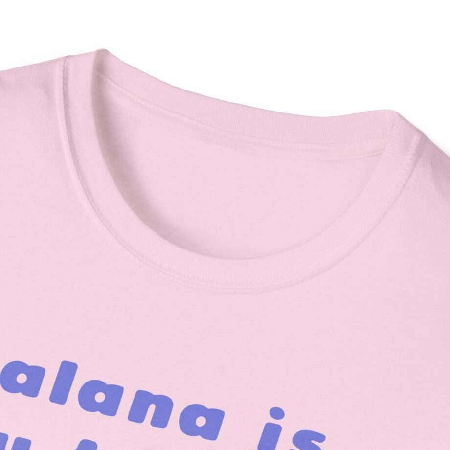 Haim Merch Este is My Favorite Unisex Softstyle T-shirt