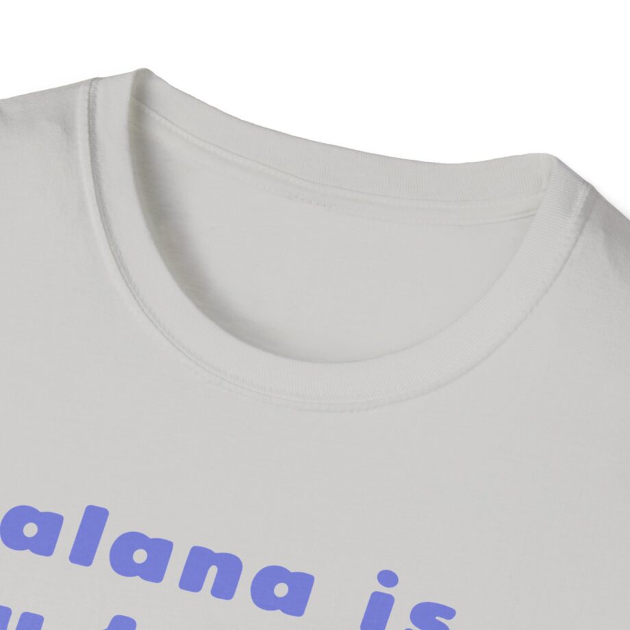 Haim Merch Este is My Favorite Unisex Softstyle T-shirt