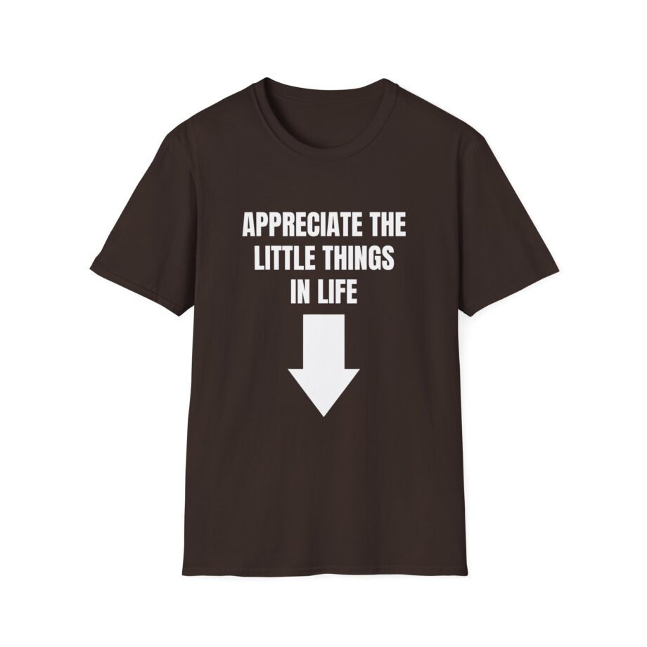 Jynxzi Appreciate the Little Things in Life Unisex Softstyle T-Shirt