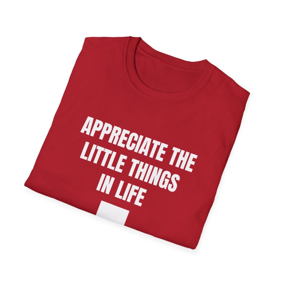 Jynxzi Appreciate the Little Things in Life Unisex Softstyle T-Shirt