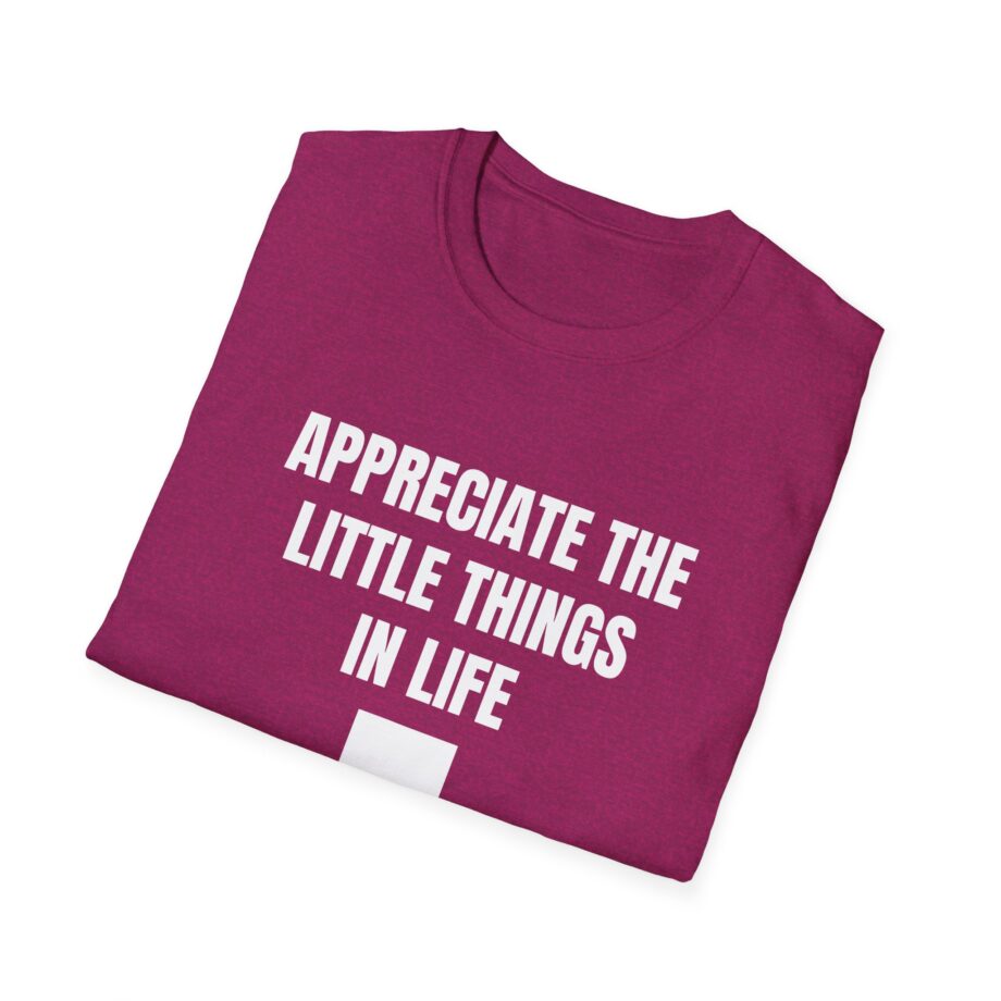 Jynxzi Appreciate the Little Things in Life Unisex Softstyle T-Shirt
