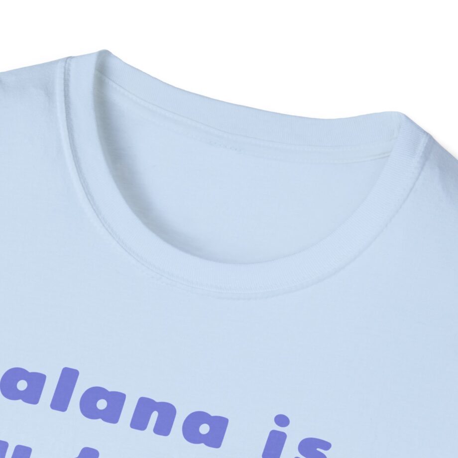 Haim Merch Este is My Favorite Unisex Softstyle T-shirt