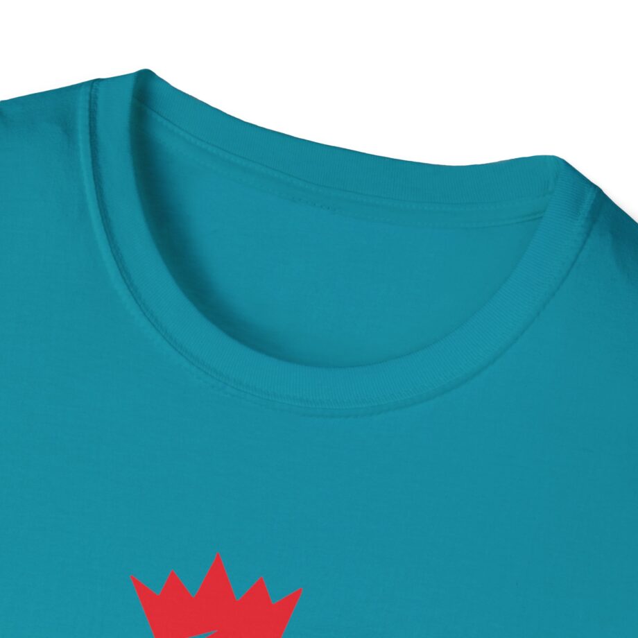 OTK Unisex Softstyle T-shirt