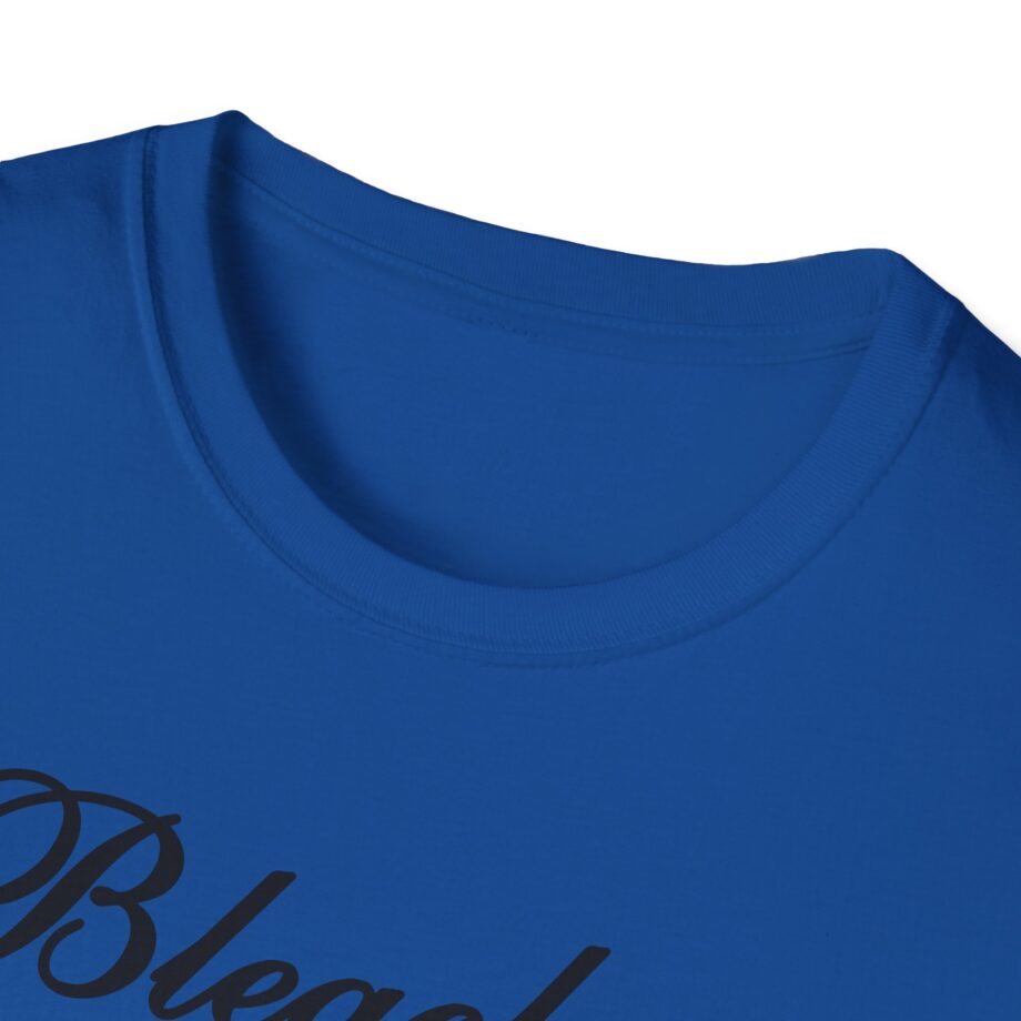 Bleachers Unisex Softstyle T-shirt