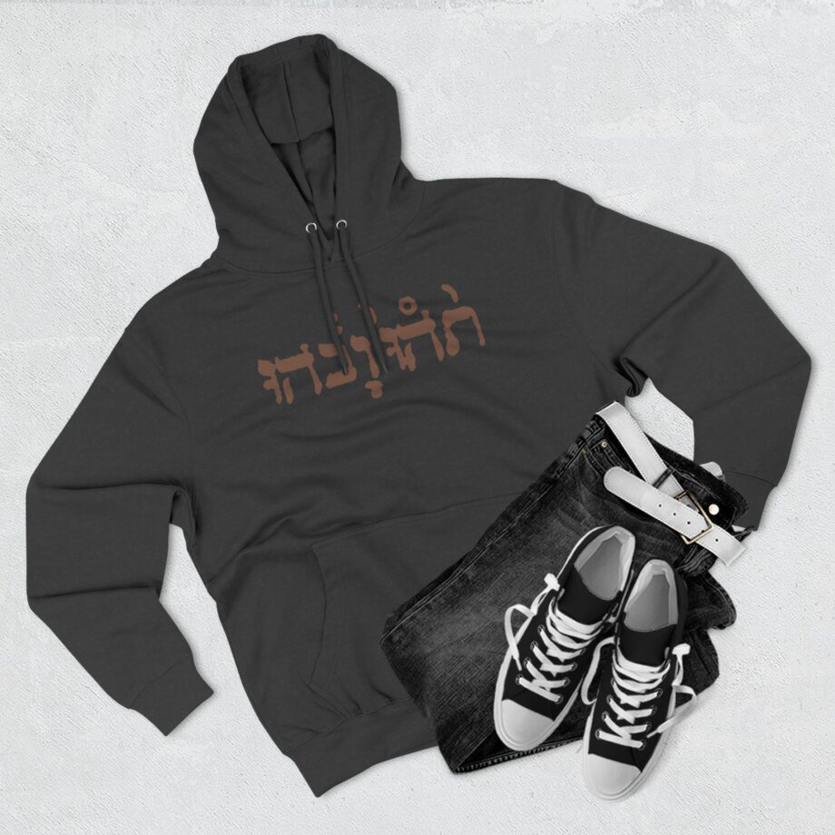 Godspeed You Black Emperor Three-Panel Fleece Hoodie