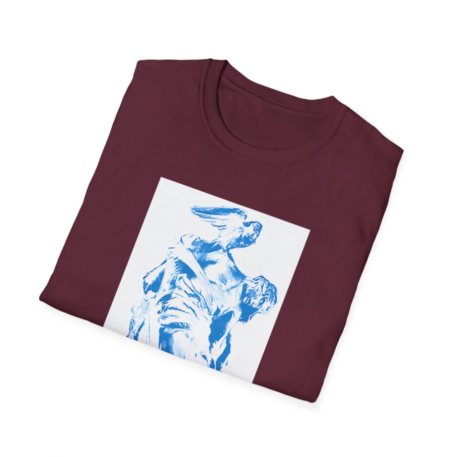 Fontaines D.C. Unisex Softstyle T-Shirt