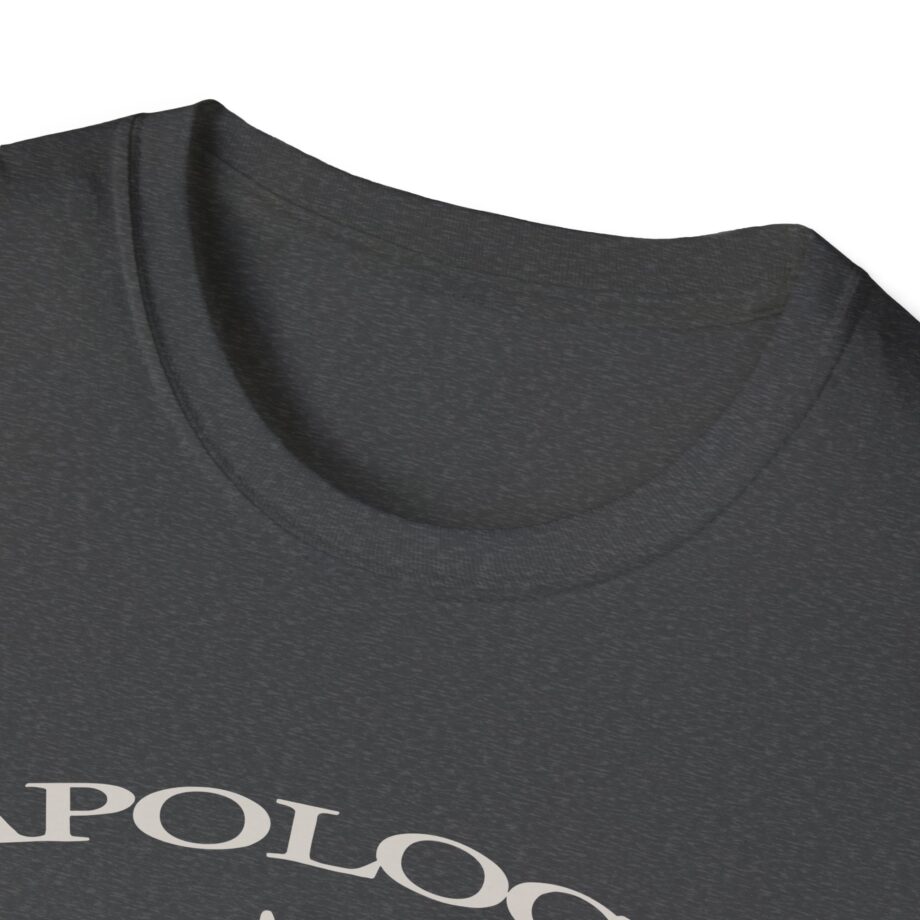 Wave to Earth Slchld 'apology' Na Tour  Unisex Softstyle T-Shirt