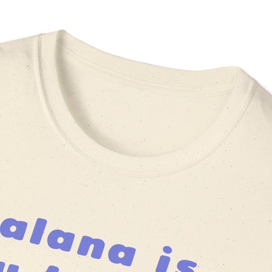 Haim Merch Este is My Favorite Unisex Softstyle T-shirt