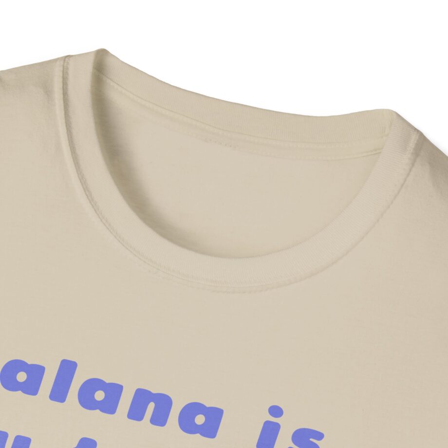 Haim Merch Este is My Favorite Unisex Softstyle T-shirt