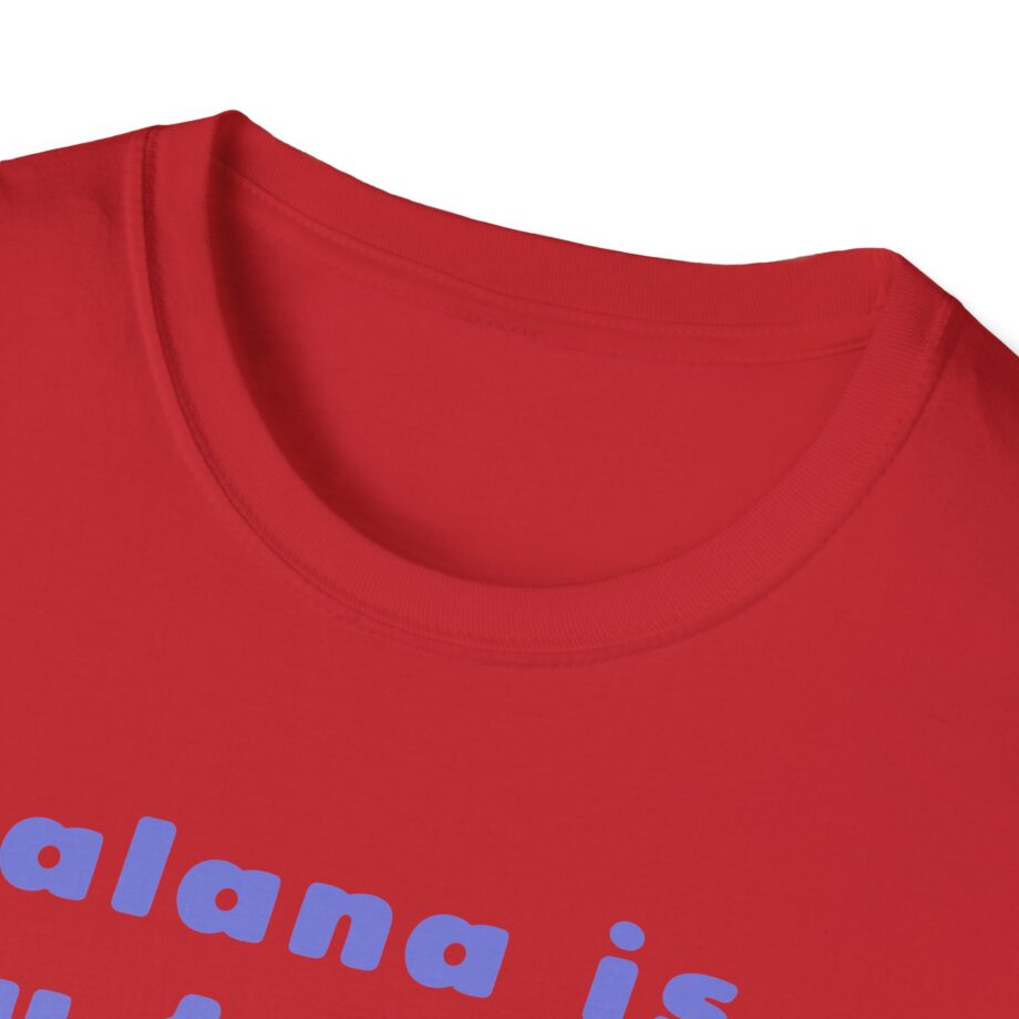 Haim Merch Este is My Favorite Unisex Softstyle T-shirt