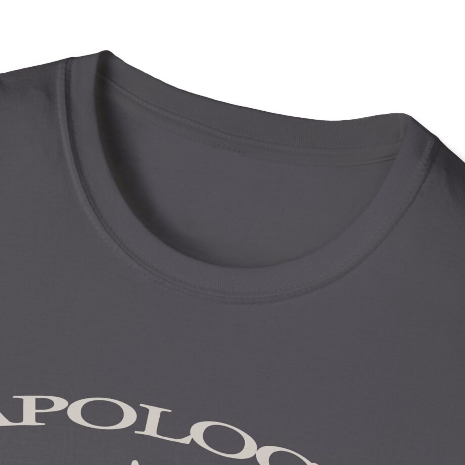 Wave to Earth Slchld 'apology' Na Tour  Unisex Softstyle T-Shirt