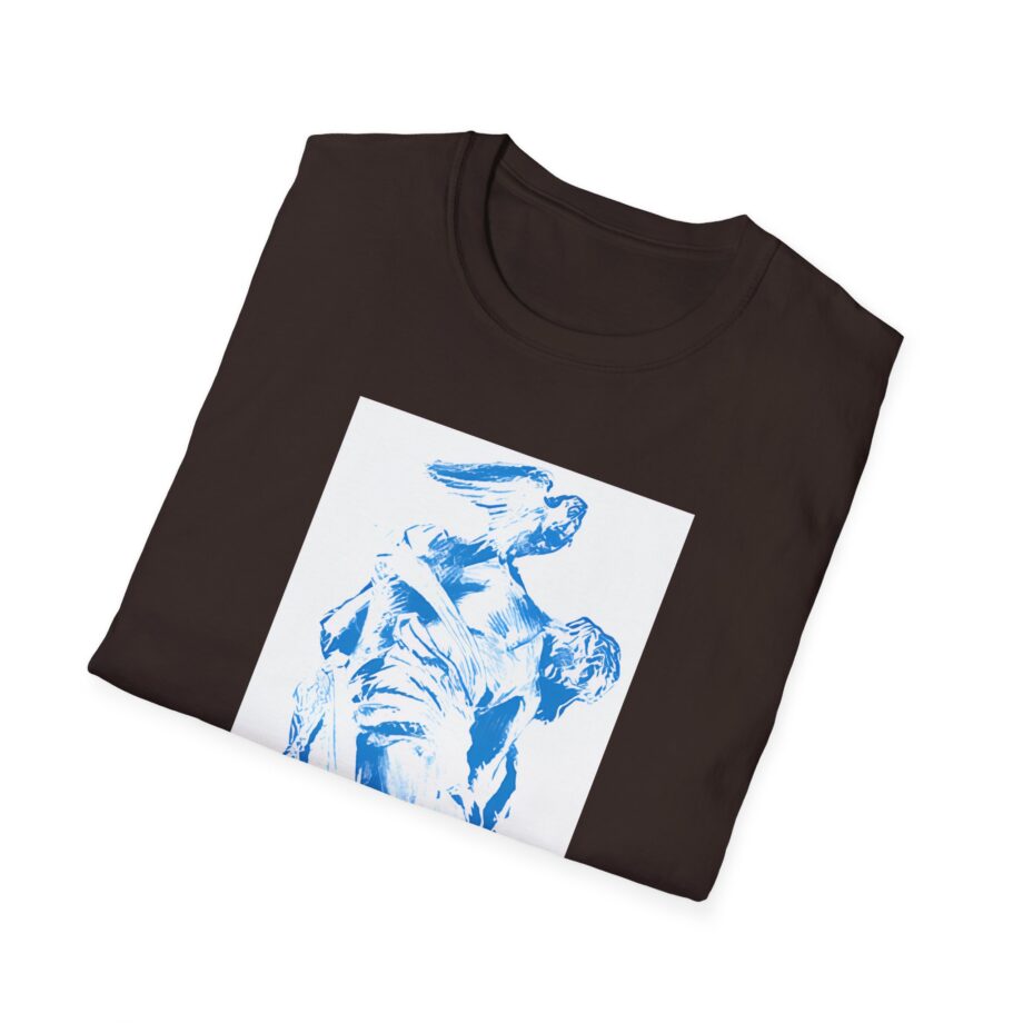 Fontaines D.C. Unisex Softstyle T-Shirt