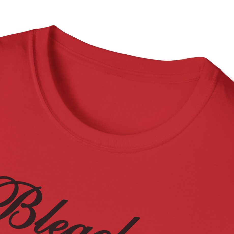 Bleachers Unisex Softstyle T-shirt