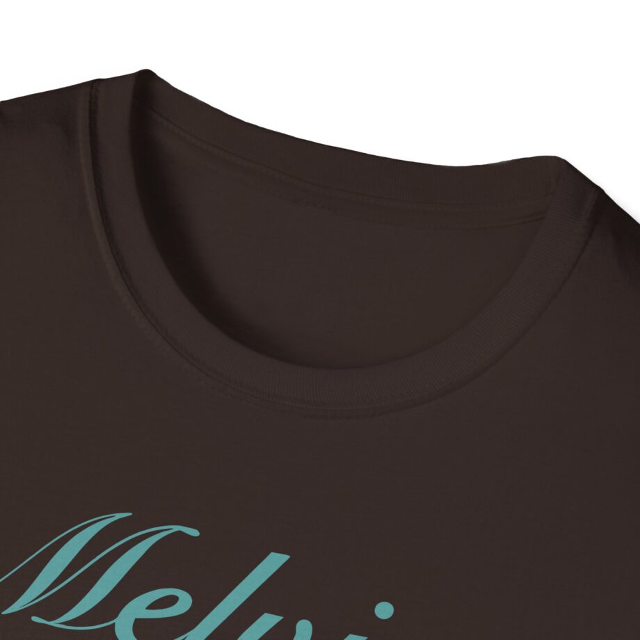 Melvins Stoner Witch Unisex Softstyle T-Shirt