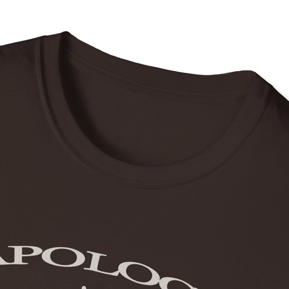 Wave to Earth Slchld 'apology' Na Tour  Unisex Softstyle T-Shirt