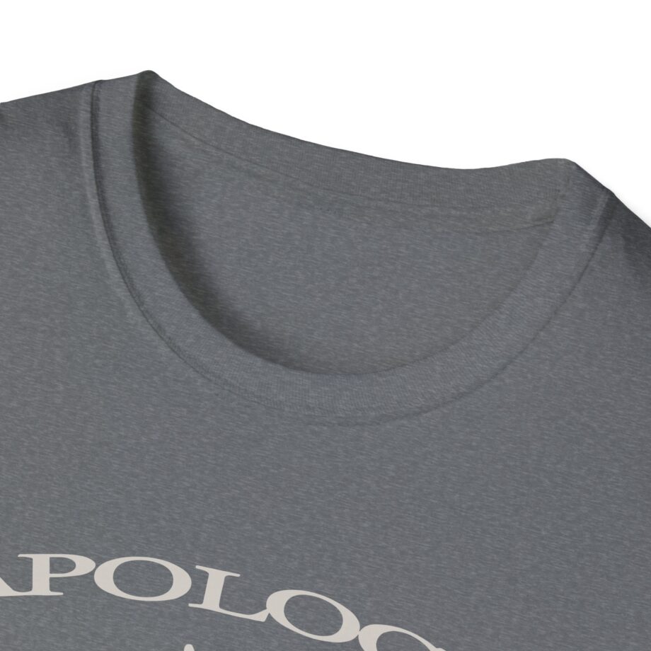 Wave to Earth Slchld 'apology' Na Tour  Unisex Softstyle T-Shirt