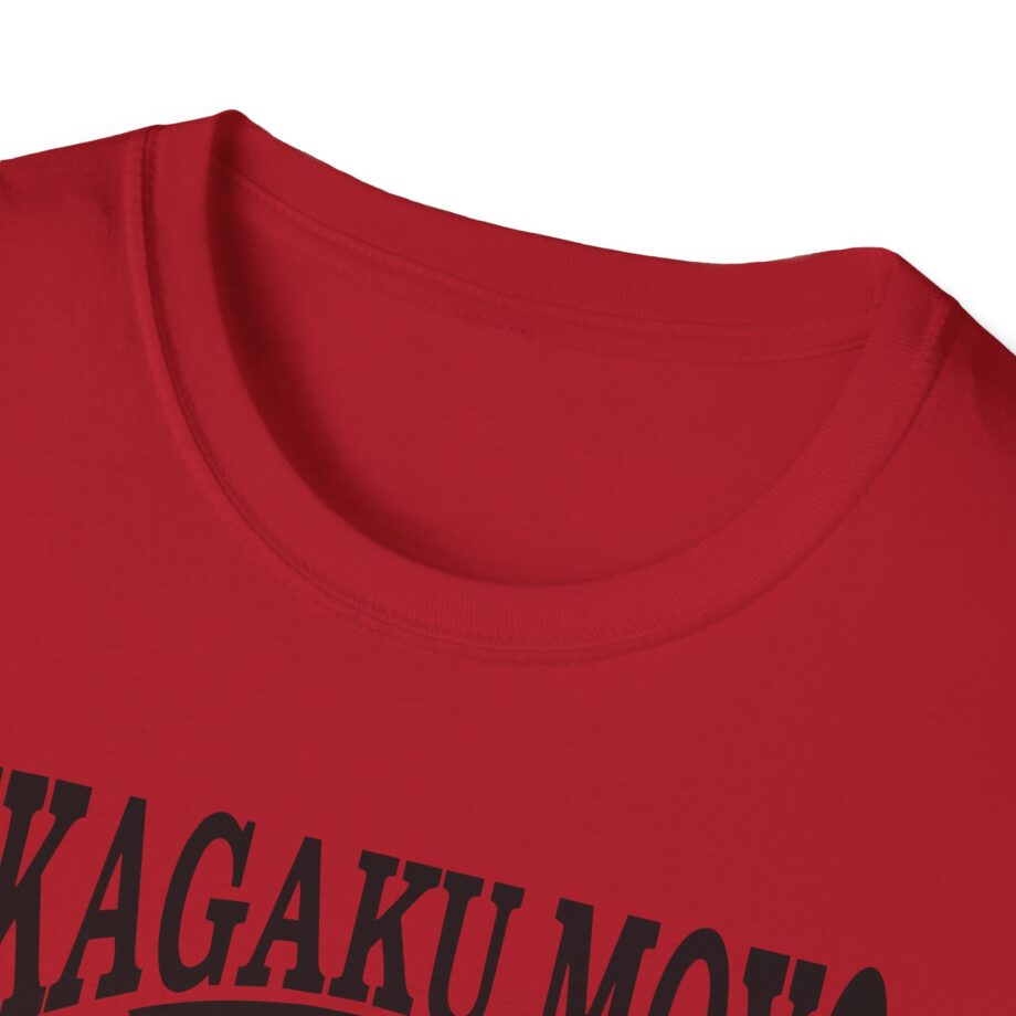 Kikagaku Moyo House in the Tall Grass Unisex Softstyle T-Shirt