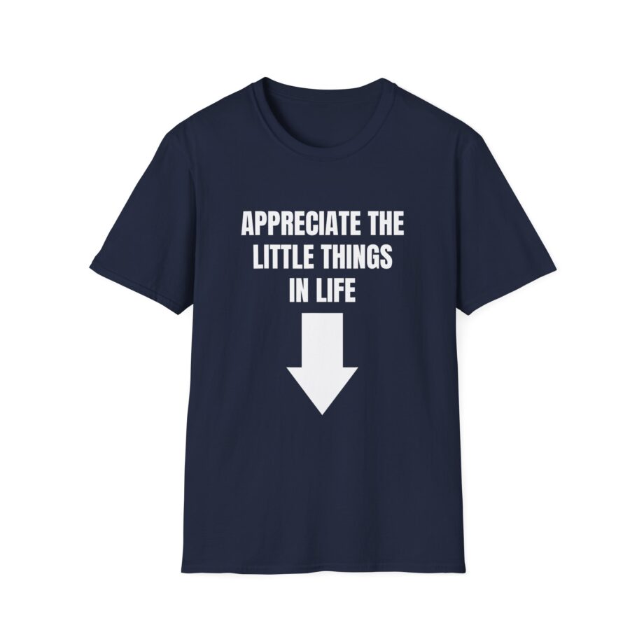 Jynxzi Appreciate the Little Things in Life Unisex Softstyle T-Shirt