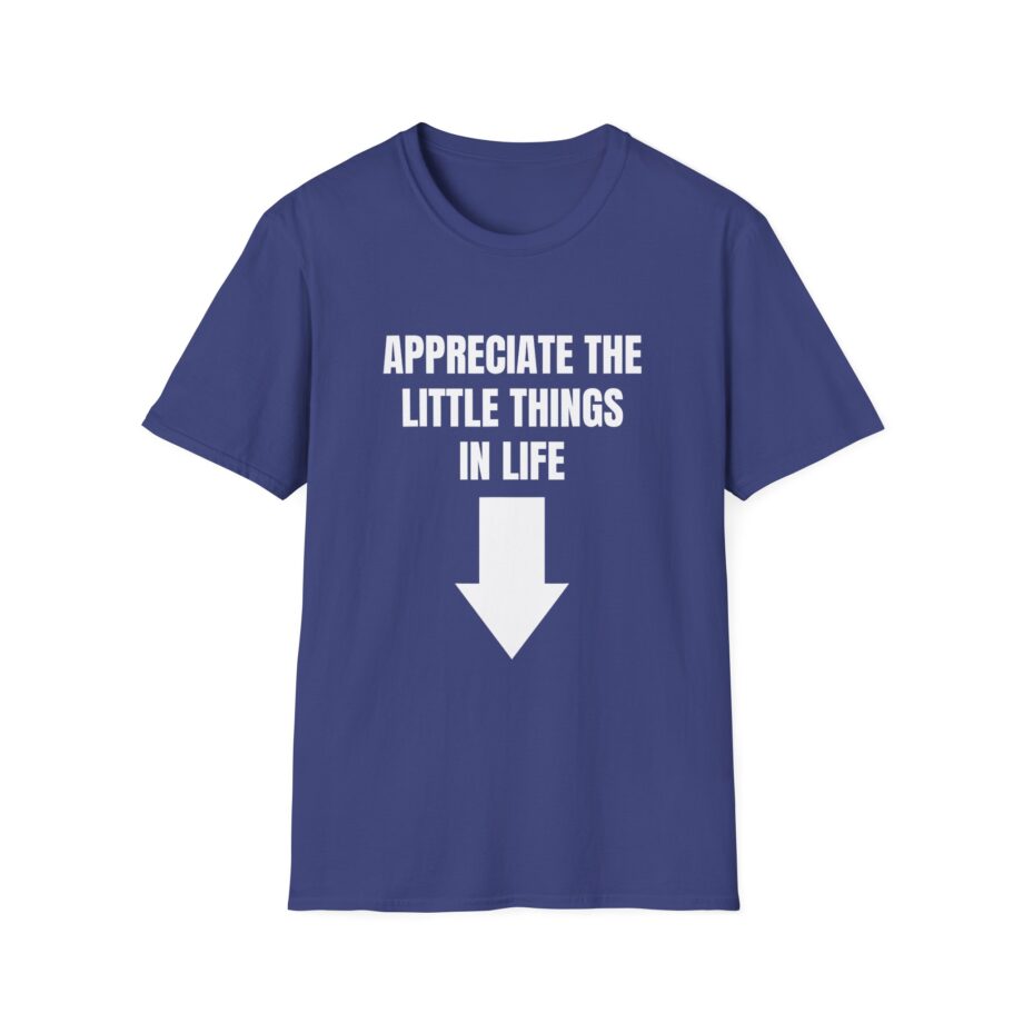 Jynxzi Appreciate the Little Things in Life Unisex Softstyle T-Shirt
