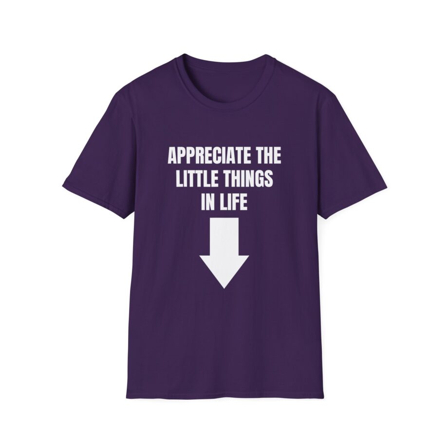 Jynxzi Appreciate the Little Things in Life Unisex Softstyle T-Shirt
