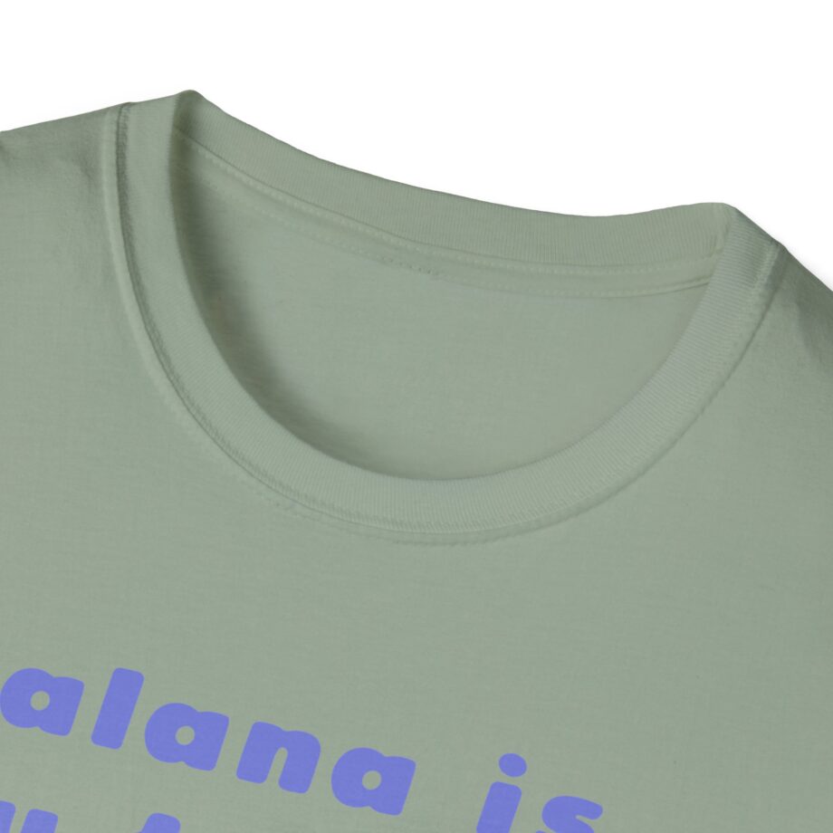 Haim Merch Este is My Favorite Unisex Softstyle T-shirt