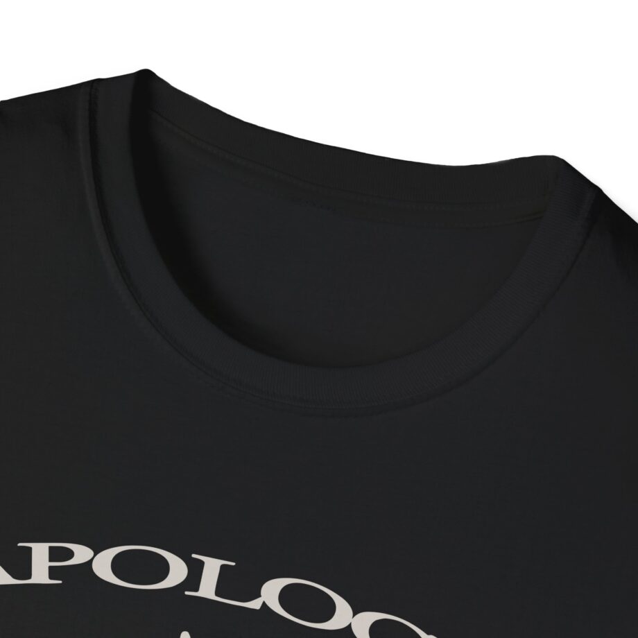 Wave to Earth Slchld 'apology' Na Tour  Unisex Softstyle T-Shirt