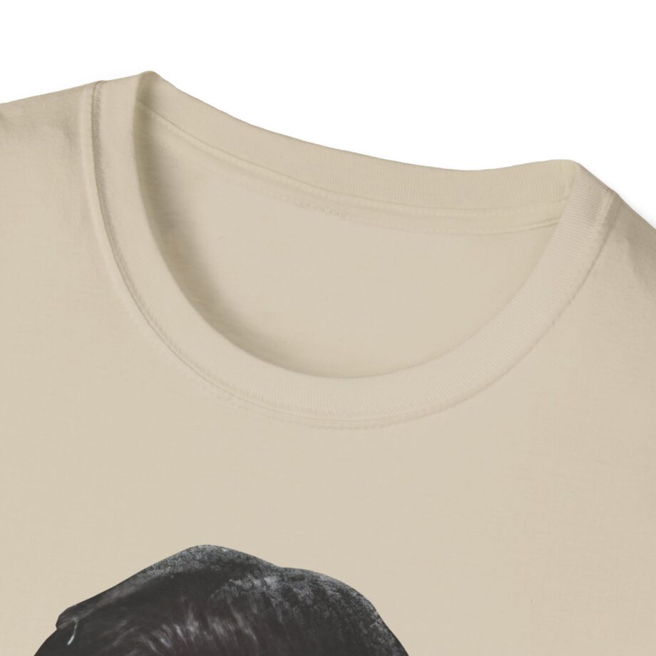Beabadoobee This is How Tomorrow Moves Album Unisex Softstyle T-Shirt