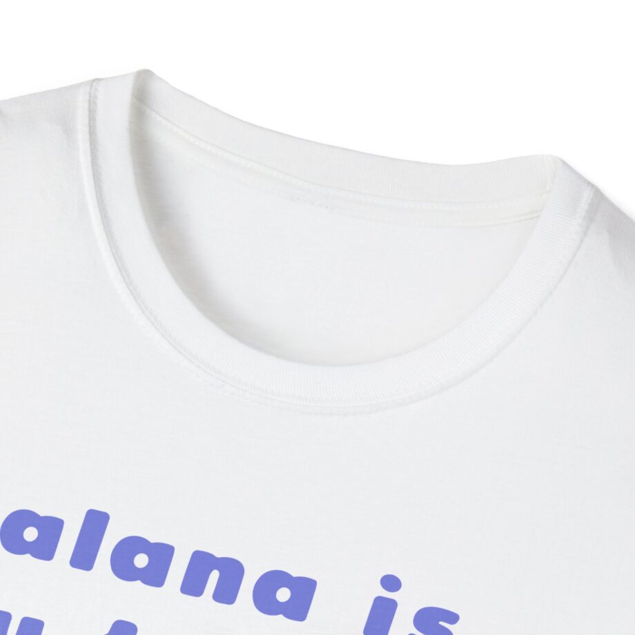 Haim Merch Este is My Favorite Unisex Softstyle T-shirt