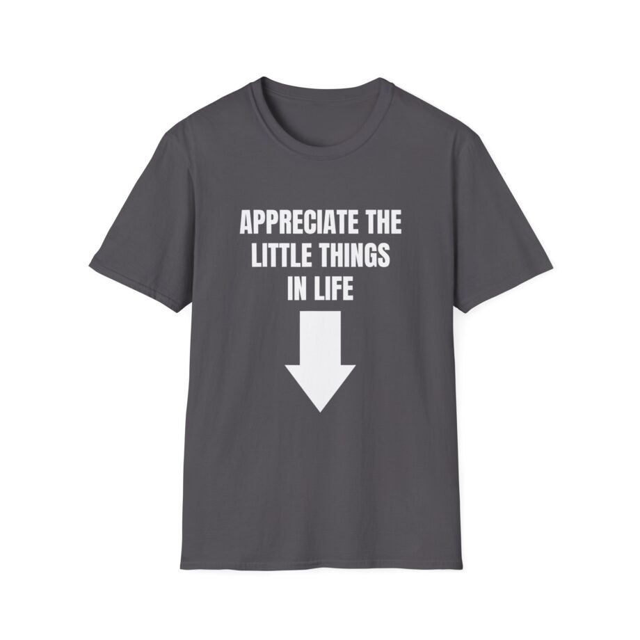 Jynxzi Appreciate the Little Things in Life Unisex Softstyle T-Shirt