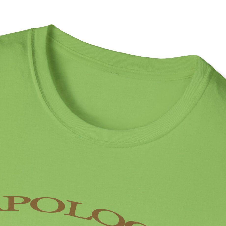 Wave to Earth Slchld 'apology' Na Tour  Unisex Softstyle T-Shirt