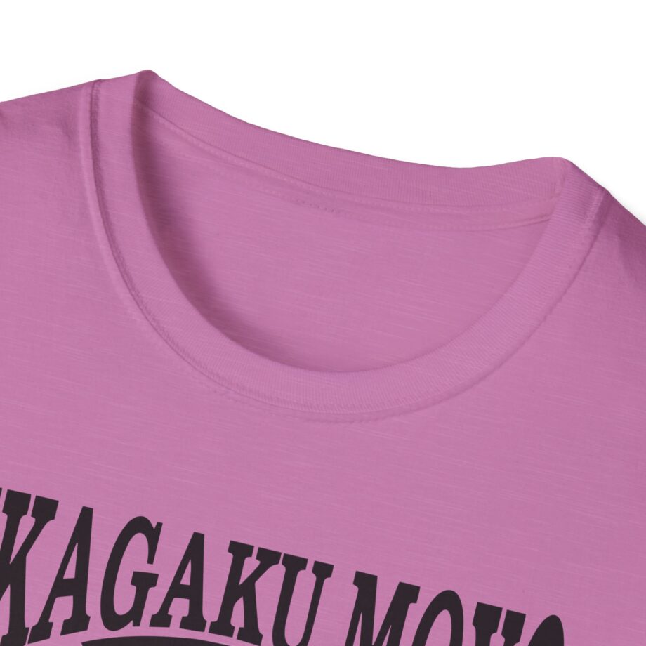 Kikagaku Moyo House in the Tall Grass Unisex Softstyle T-Shirt
