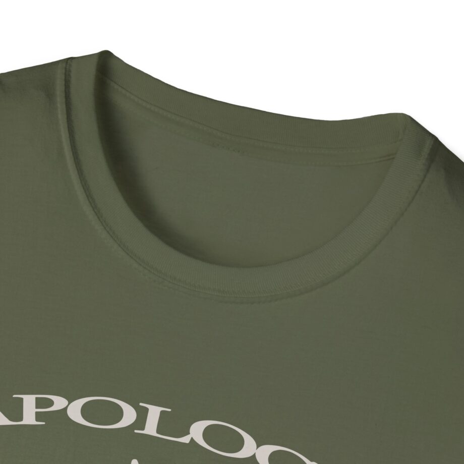 Wave to Earth Slchld 'apology' Na Tour  Unisex Softstyle T-Shirt