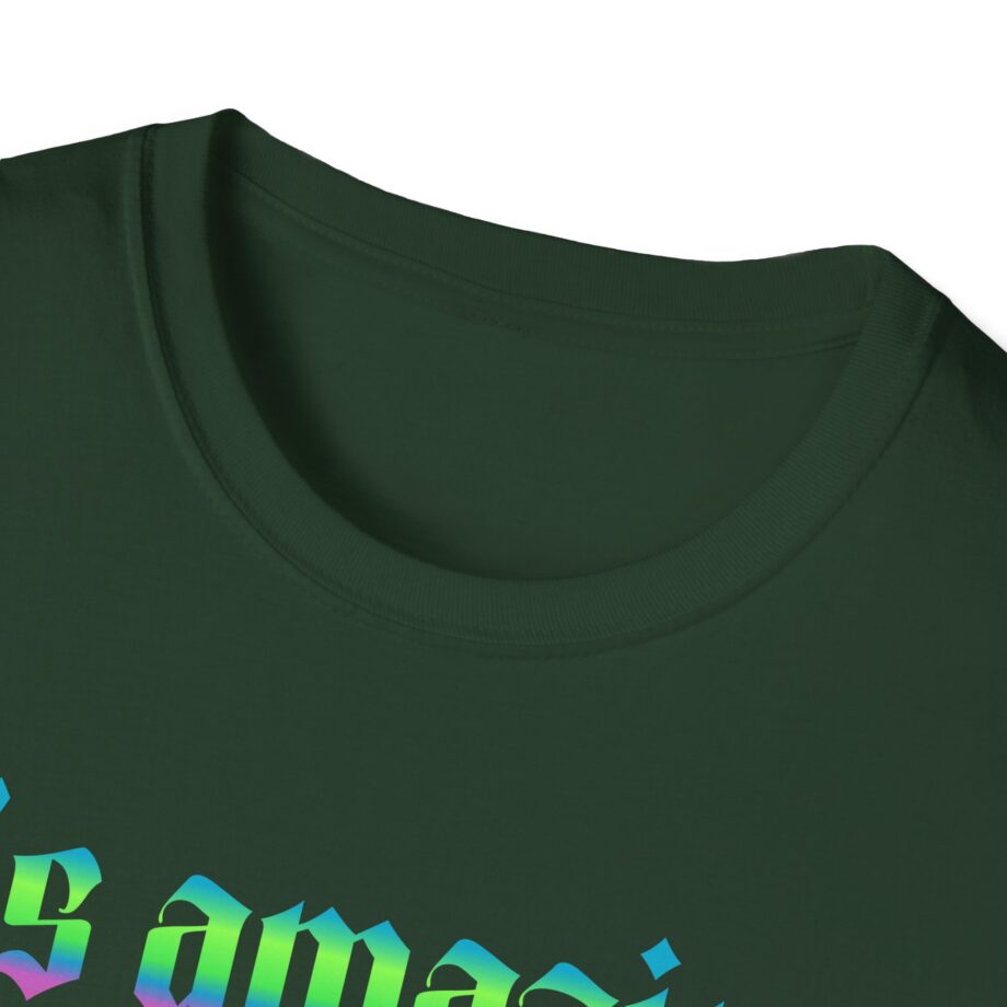 Fontaines It's Amazing To Be Young  Unisex Softstyle T-Shirt