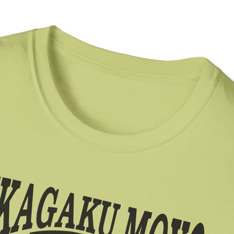 Kikagaku Moyo House in the Tall Grass Unisex Softstyle T-Shirt
