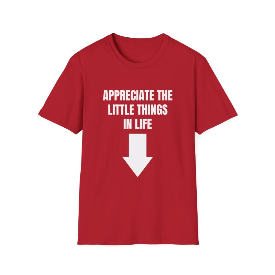 Jynxzi Appreciate the Little Things in Life Unisex Softstyle T-Shirt