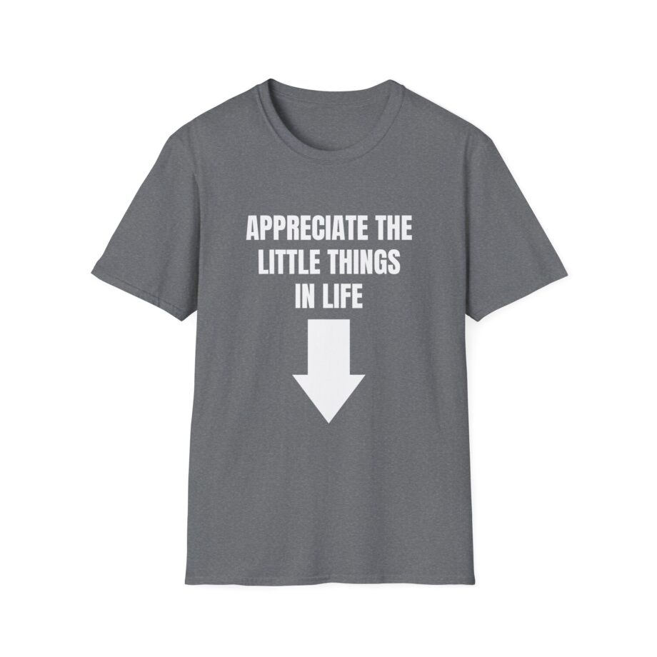 Jynxzi Appreciate the Little Things in Life Unisex Softstyle T-Shirt