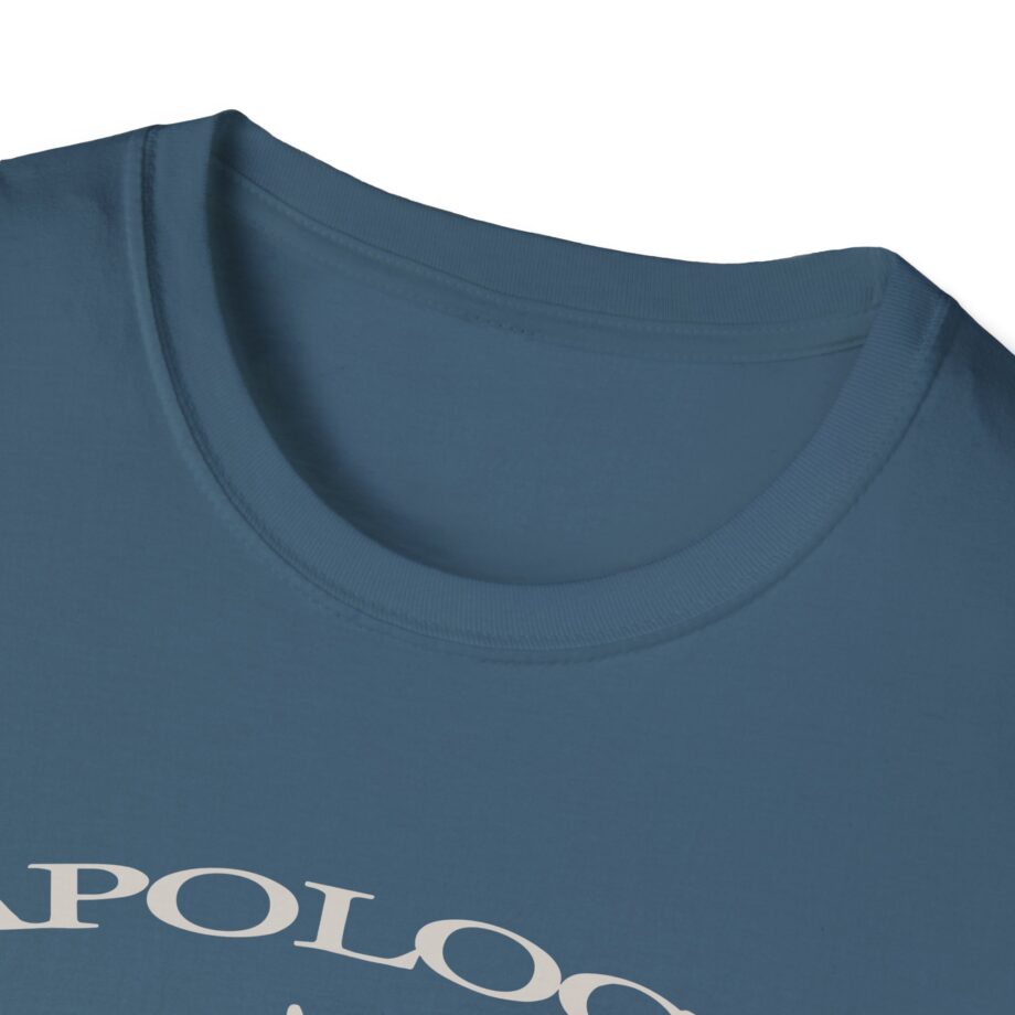 Wave to Earth Slchld 'apology' Na Tour  Unisex Softstyle T-Shirt